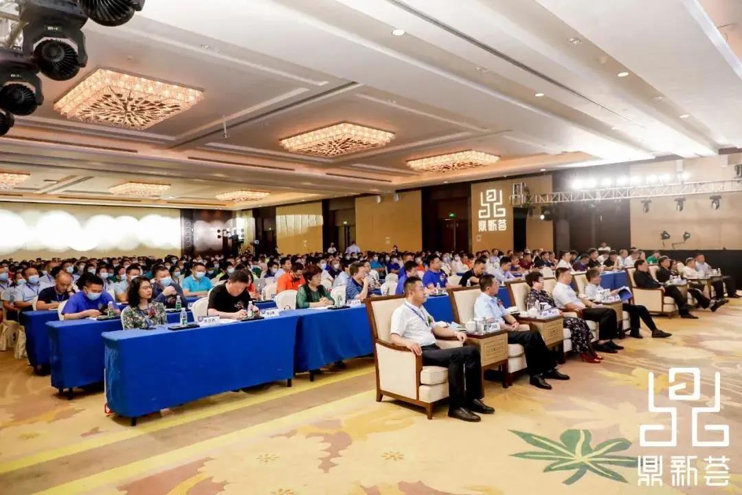 dcbox小金库药业受邀参加2020大健康产业鼎新荟论坛(图3)